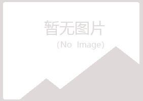 潞城晓夏服务有限公司